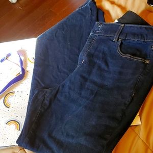 NWOT size 18S Lane Bryant smart band bootcut jeans